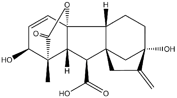 赤霉素GIBBERELLIC ACID，居然有這么神奇？